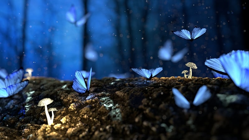 Enchanted Woman